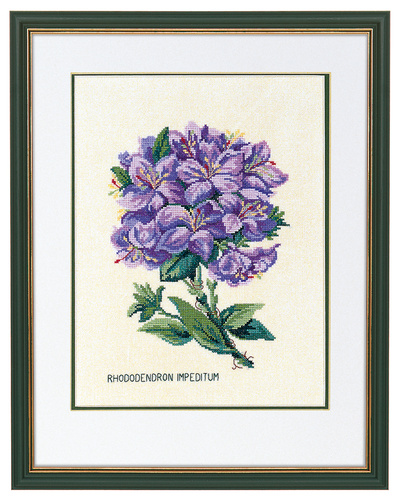 Rhododemdron, lilac