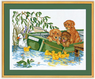 Puppy in boat
