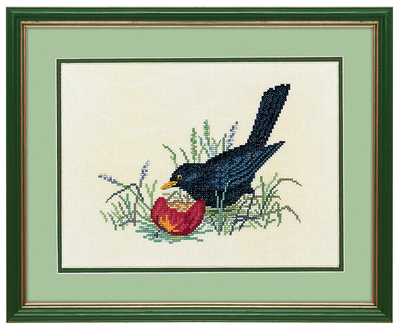 Black bird & apple