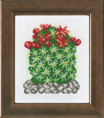 Cactus w/red