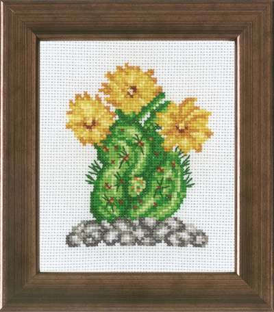Kaktus w/yellow