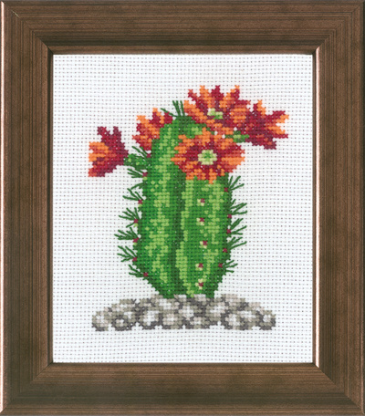 Kaktus m/orange