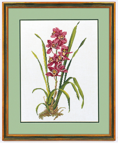 Rød orkidé
