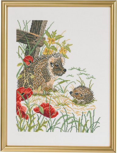 Hedgehogs and poppies