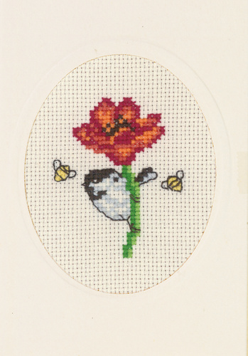 Flowercard poppy