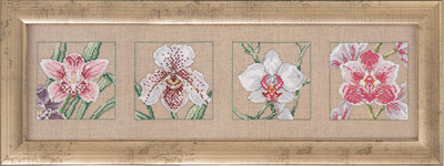 4 orchids